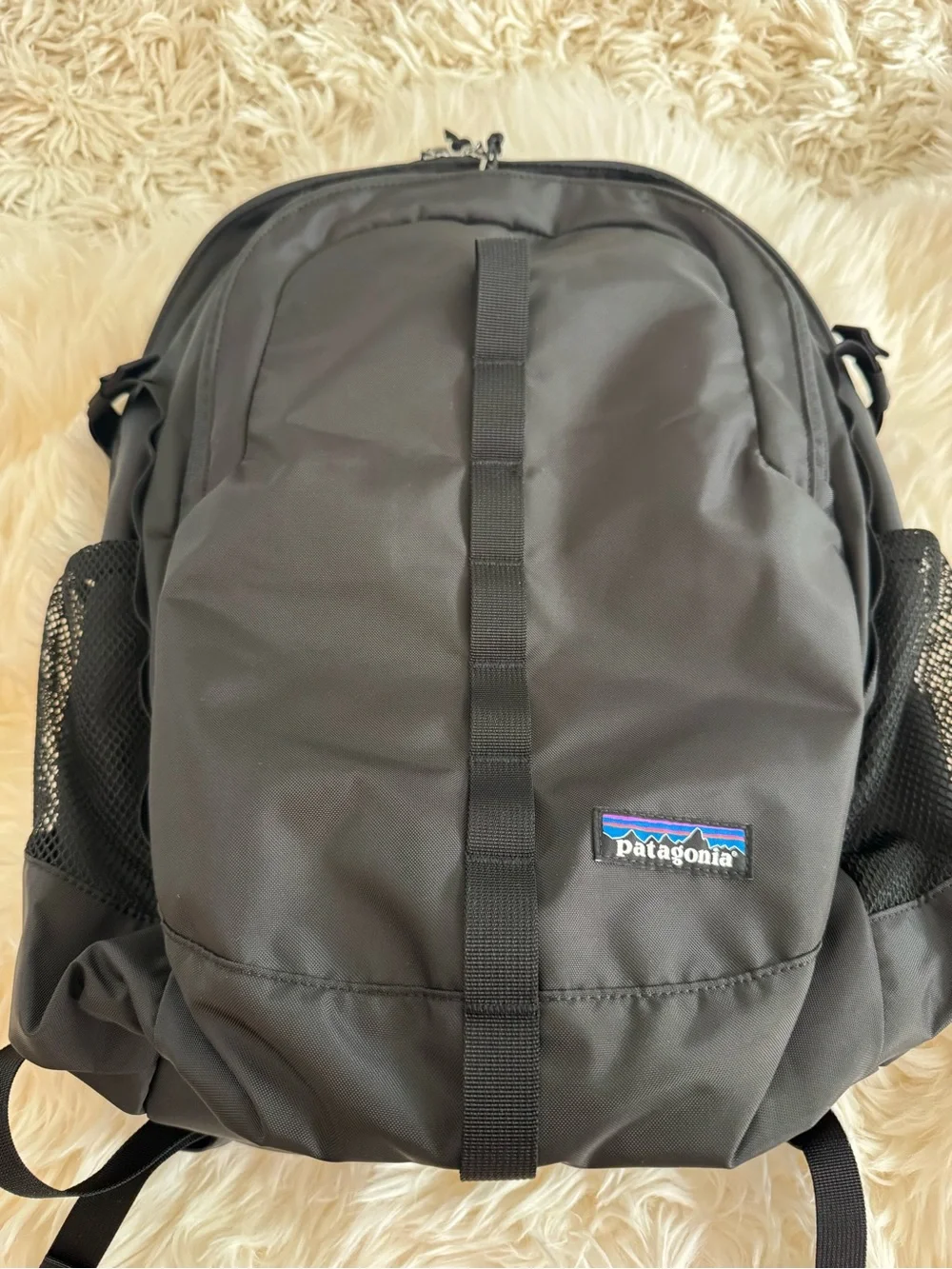 New Classic Patagonia Black Men's Backpack with Multiple Compartments